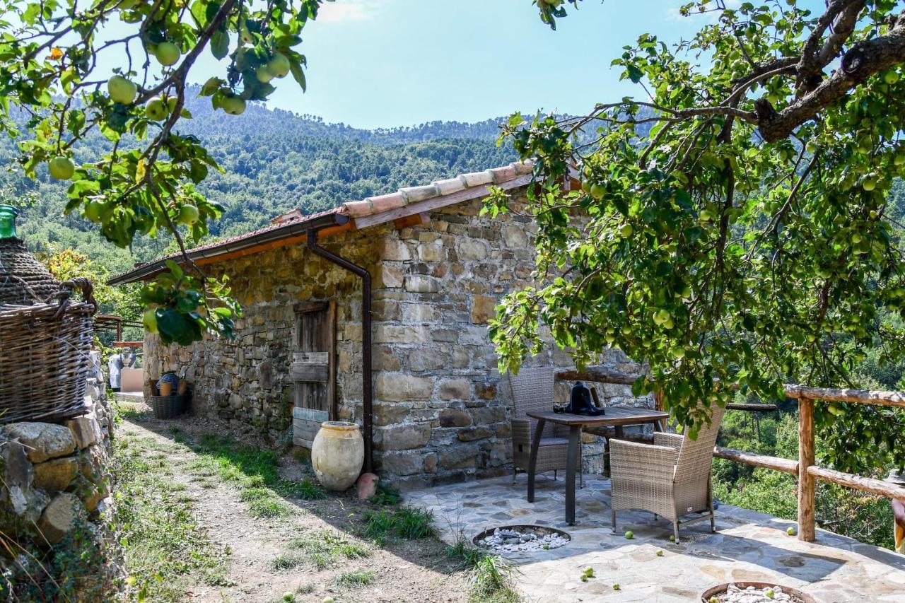 Vila Casa Lucertola Apricale Exteriér fotografie